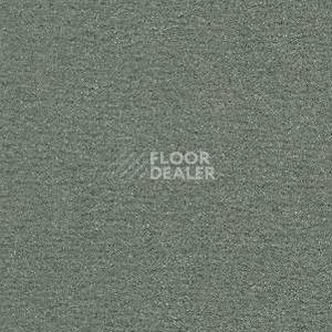 Ковролин Radici Nexus Opale 8251 фото 1 | FLOORDEALER